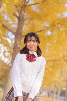 动画mv